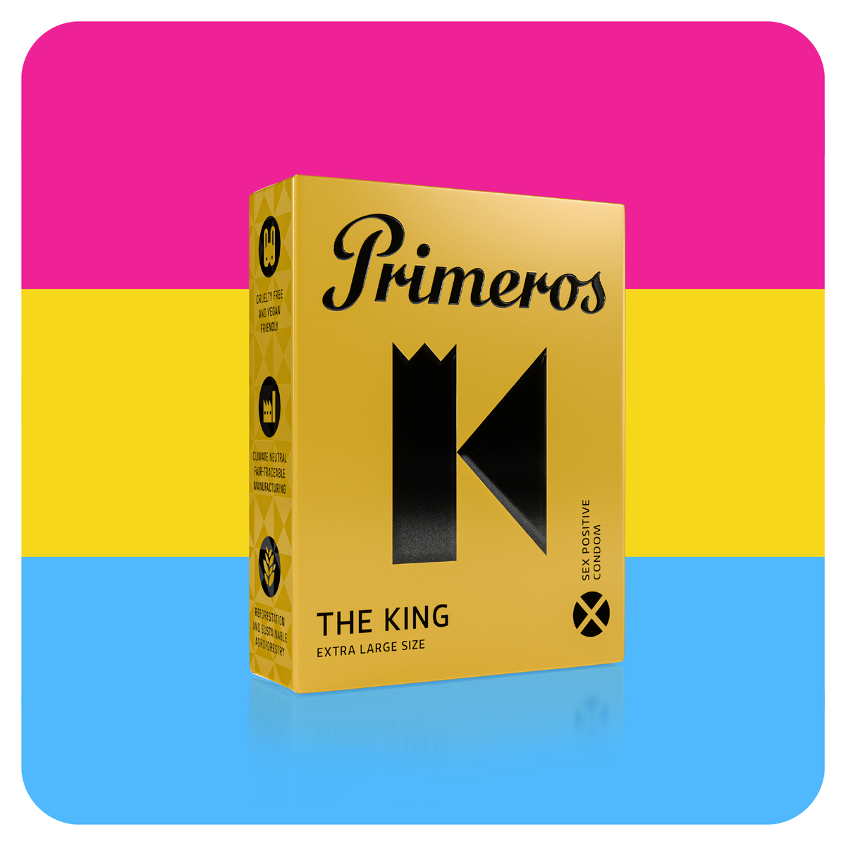 PANSEXUAL HOOKUP BOX