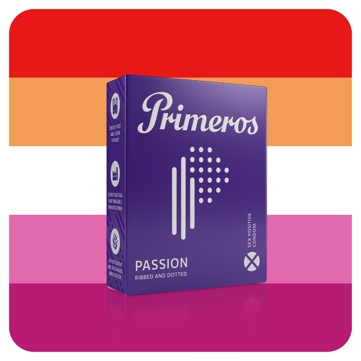 LESBIAN HOOKUP BOX